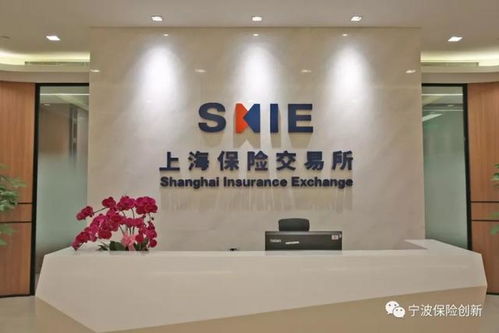上海保交所科技公司正式落戶寧波，開啟科技中介服務新篇章
